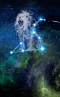 创意十二星座狮子座背景合成