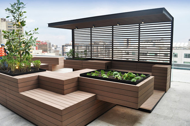 【屋顶花园】墨西哥城Reforma屋顶花...