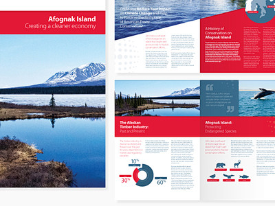 Brochure layout for ...