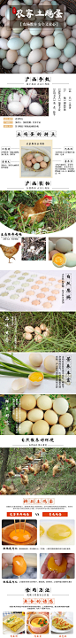 【江汉鸡】土鸡蛋30枚 湖北特产 农家散养土鸡蛋新鲜鸡蛋_微海汇