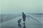 雾中风景  (1988)
西奥·安哲罗普洛斯 ​​​​