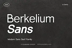 8款Berkelium现代简约企业品牌logo海报画册无衬线英文字体家族图片