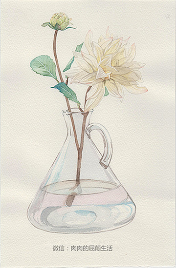 水彩 手绘 鲜花 玻璃 装饰 明信片 小...