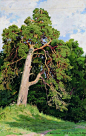 【美術世界】著名风景画家希施金(Ivan Ivanovich Shishkin)绘画作品(1)[36P] -  NO.1画室 - .