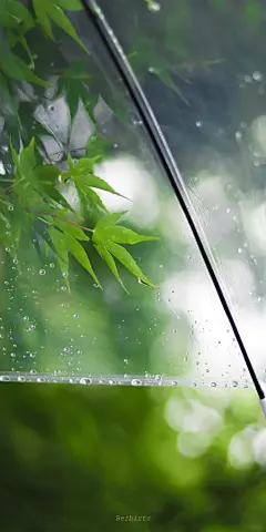 欢愉且胜意，万事皆可期   #风景手机壁纸