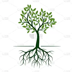 绿色,泉,创造力,自然,华丽的,高雅,图像,苹果树,树,装饰