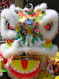 动物头,狮王,垂直画幅,无人,色彩鲜艳,户外,特写,春节,华丽的,彩色图片