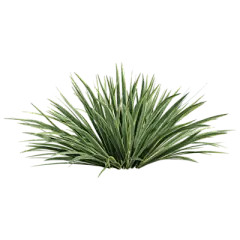 【米图网-52mitu.com】绿植 草 装饰qq植物