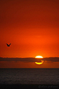 Venice Beach sunset ,California