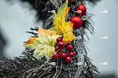 树叶 秋天 美丽的花朵 季节 自然 花壁纸 花卉背景 落下 浆果