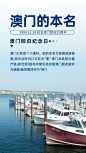澳门回归纪念日大事件手机海报
