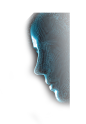 人脸