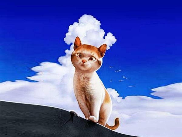 Makoto Muramatsu的萌猫插...