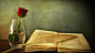 General 3200x1800 roses quills books flowers vases artwork paintings red flowers