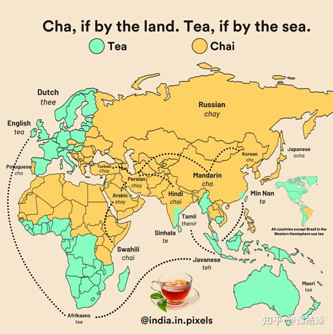 茶在世界各个国家的说法，因为茶来源于中国...