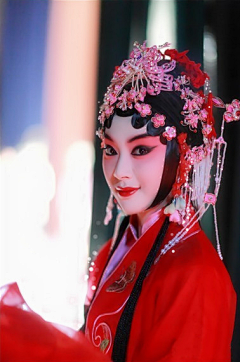 6只小绵羊采集到素材app