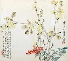 今日一赏～花卉册 - 小红书