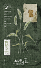 02532e9c49eea9fc2e9550fc2191e54b744d6c1fc7ea8-DTG7oD_fw1200