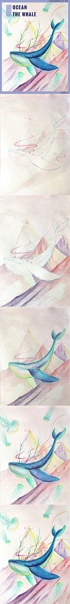 彩铅画 水彩打底色+水溶性彩铅 
画出粉色天空 山体明暗
彩铅绘制山体、鲸鱼、水母