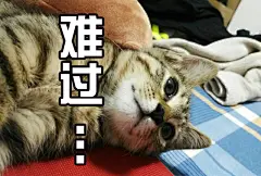 给你做个表情包