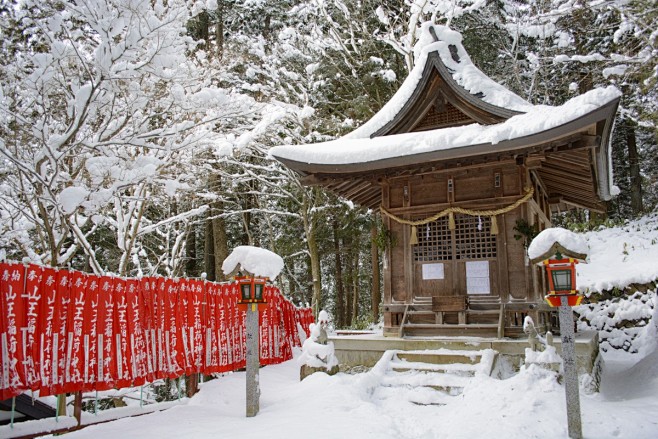 雪 日本 神社 冬季 神社 树 寺庙 冷...