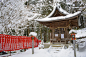 雪 日本 神社 冬季 神社 树 寺庙 冷冻 厂 科 torii 日本建筑 休闲