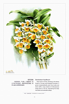 用户UFwOOkrf采集到药
