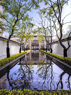 岵DESIGN采集到水景