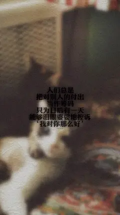 精选唯美伤感文字控i手机壁纸