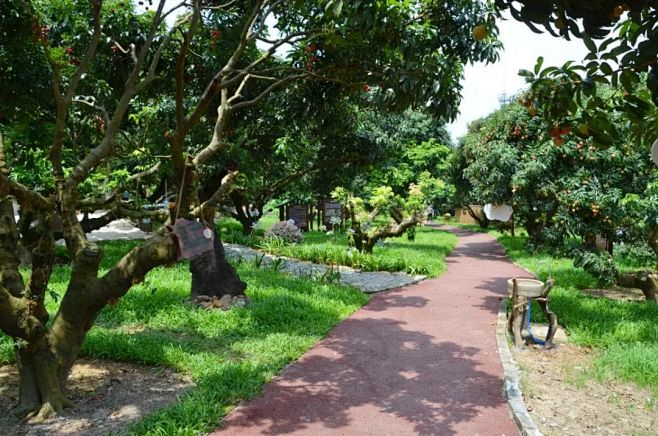 从化荔博园开园，来这里摘荔枝、科普游，感受现代农业“硅谷”