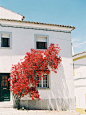 the shutterbugs: vanessa jackman goes to portugal. / sfgirlbybay
