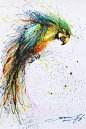 Saatchi Artist: YingJie Chen; Ink, Painting "Color parrot"