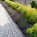 采集图片