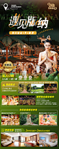 西双版纳旅游海报-源文件
