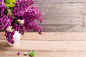 木板上盛开的紫丁香高清摄影图片