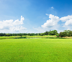 LiangVixian采集到早安海报素材图