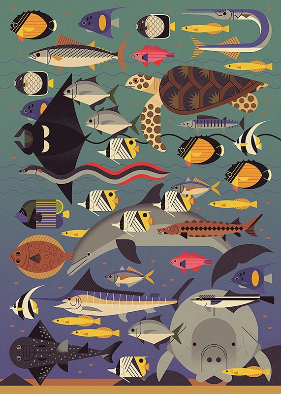 illustrator-owen-davey-shares-his-tips-for-crafting-incredible-animals