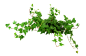 4ea355b65f9043ff812073df2b069e8715c3c36a22d345-qQXLkS_fw658