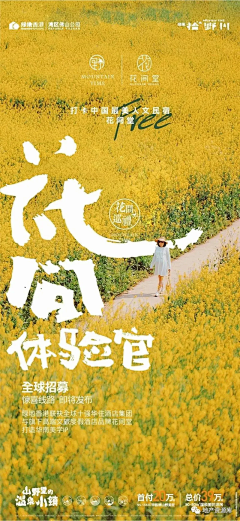 高原Gloria采集到文旅