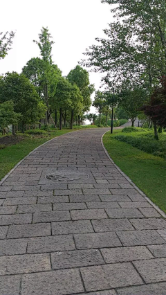 风满楼LY采集到铺装