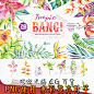 PNG免扣 唯美森系水彩风花卉环叶子花边图案 美化设计素材 Tropic-淘宝网