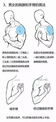 小神经儿采集到人体