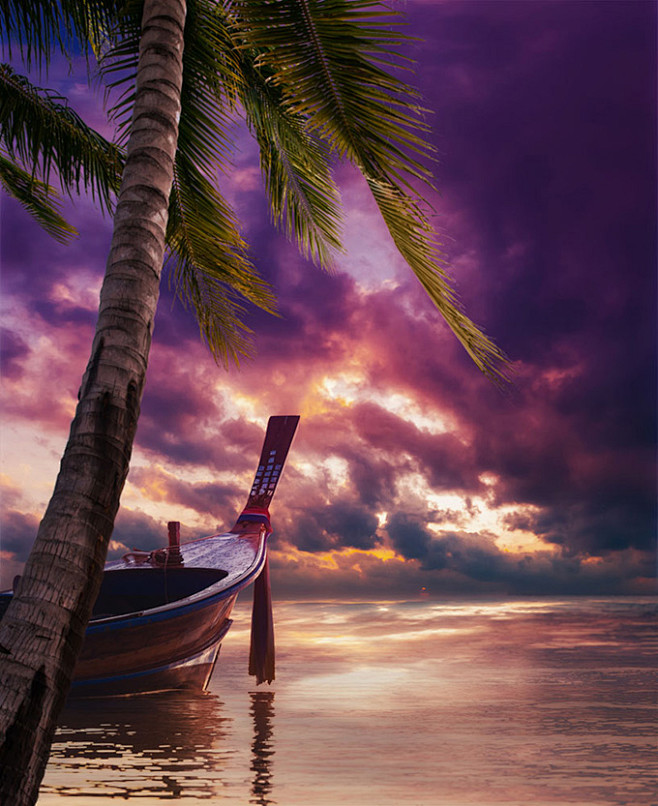 黄昏下的椰树木船景色高清摄影图片