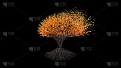 树是球形的。黑色背景上的季节过渡。环保的概念。