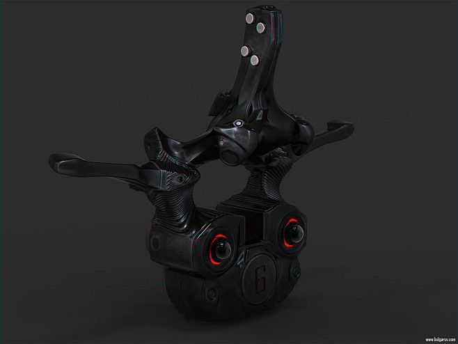 Vertebra 05