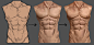 Torso study, Rishabh Goswami : Torso study process