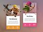 Dribbble - Clash Cards Preview by  Matt Thompson