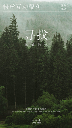 灵虚山采集到新中式