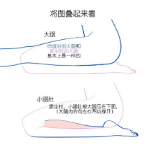藤原家的小兔子采集到坐姿