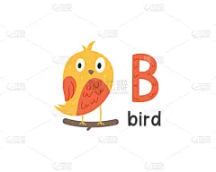 英文字母B,字母,鸟类,可爱的,字母表次序,信函,野生动物,翅膀,英格兰,小的